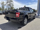 Used 2019 Ford F150 XLT w/ Equipment Group 302A Luxury image 3