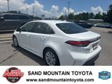Used 2023 Toyota Corolla XLE image 5
