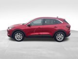 Used 2023 Ford Escape Active w/ Tech Pack #1 image 3