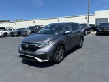 Used 2020 Honda CR-V EX-L image 3