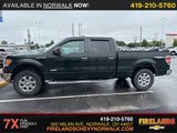 Used 2013 Ford F150 XLT w/ Luxury Equipment Group image 3