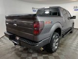 Used 2013 Ford F150 FX4 w/ Luxury Equipment Group image 5