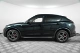 Used 2024 Alfa Romeo Stelvio Ti image 4