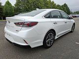 Used 2019 Hyundai Sonata Limited image 3