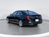 Certified 2024 Cadillac CT4 Premium Luxury w/ Climate Package image 4