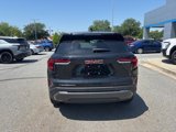 New 2025 GMC Terrain Elevation image 4