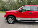 Used 2010 Ford F150 FX4 image 3