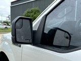 Used 2019 Ford F150 XL w/ Equipment Group 101A Mid image 5
