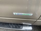 Used 2013 Ford F150 XLT w/ Luxury Equipment Group image 4