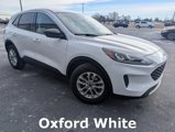 Used 2022 Ford Escape SE w/ Convenience Package image 3