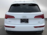 Used 2023 Audi Q5 2.0T Premium Plus image 4