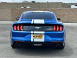 Used 2021 Ford Mustang Coupe w/ Equipment Group 101A image 4