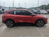 Used 2022 Ford Escape SE w/ SE Sport Appearance Package image 5