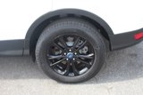 Used 2019 Ford Escape SE image 6