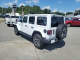 Used 2024 Jeep Wrangler Sahara image 5