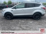 Used 2019 Ford Escape SE image 6