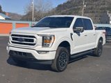 Used 2022 Ford F150 XLT w/ Equipment Group 302A High image 2