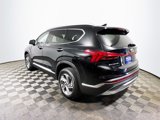 Used 2023 Hyundai Santa Fe SEL w/ Premium Package image 6