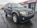 Used 2009 Ford Escape XLT image 4