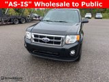 Used 2011 Ford Escape XLT w/ 202A Rapid Spec Order Code image 3