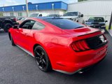 Used 2018 Ford Mustang Premium w/ Equipment Group 201A image 5