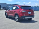 Certified 2022 Ford Escape SEL image 2