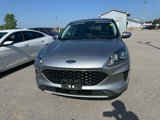 Used 2021 Ford Escape SE image 2