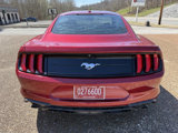 Used 2019 Ford Mustang Coupe image 6