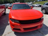 Used 2018 Dodge Charger SXT Plus w/ Quick Order Package 29J image 5