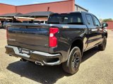 Used 2021 Chevrolet Silverado 1500 LT Trail Boss w/ Convenience Package II image 4