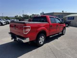 Used 2014 Ford F150 XLT image 5