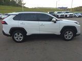 Certified 2020 Toyota RAV4 XLE image 2