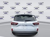 New 2025 Ford Escape ST-Line w/ Equipment Group 301A image 4