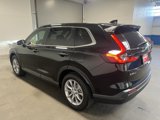 Used 2025 Honda CR-V EX-L image 5