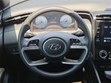 Used 2023 Hyundai Santa Cruz SEL w/ Activity Package image 5