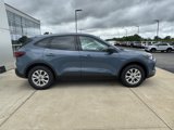 New 2025 Ford Escape Active w/ Tech Pack #1 image 5