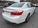 Used 2014 Honda Accord Sport image 6