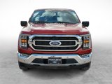 Used 2023 Ford F150 XLT w/ Equipment Group 302A High image 3