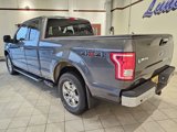 Used 2015 Ford F150 XLT w/ Equipment Group 302A Luxury image 3