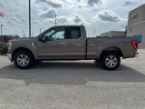Used 2021 Ford F150 XLT w/ Equipment Group 302A High image 2