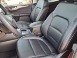 Certified 2022 Ford Escape SEL image 3