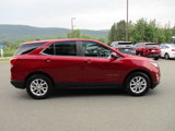 Certified 2021 Chevrolet Equinox LT image 4