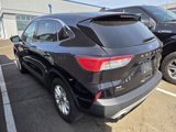 Used 2020 Ford Escape SE image 4