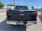 Used 2015 Ford F150 XLT w/ Equipment Group 302A Luxury image 4