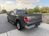 Used 2013 Ford F150 XLT w/ Luxury Equipment Group image 6