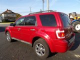 Used 2010 Ford Escape XLT image 4