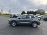Certified 2024 Ford Escape Active image 4