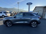 New 2024 Ford Escape Platinum w/ Premium Technology Package image 4