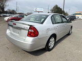 Used 2004 Chevrolet Malibu LT w/ Preferred Equipment Group image 5