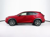 Used 2015 Lexus NX 200t FWD w/ Premium Package image 4